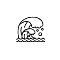 조수
