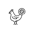 가축질병
